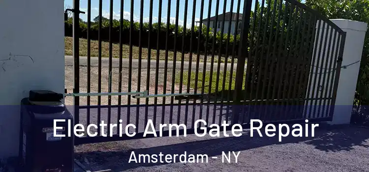  Electric Arm Gate Repair Amsterdam - NY