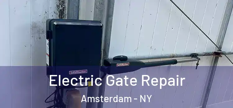 Electric Gate Repair Amsterdam - NY