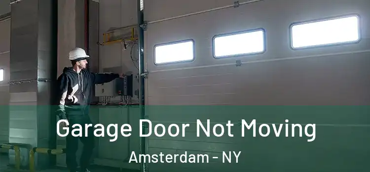  Garage Door Not Moving Amsterdam - NY