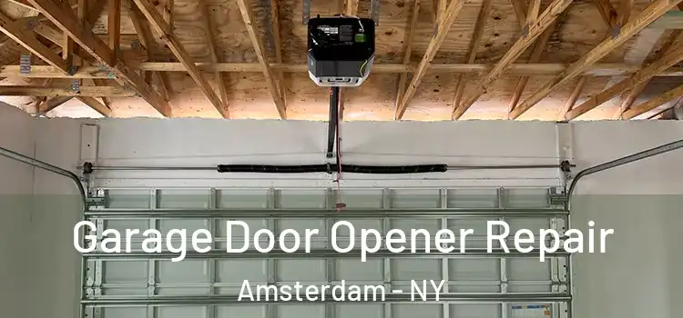  Garage Door Opener Repair Amsterdam - NY