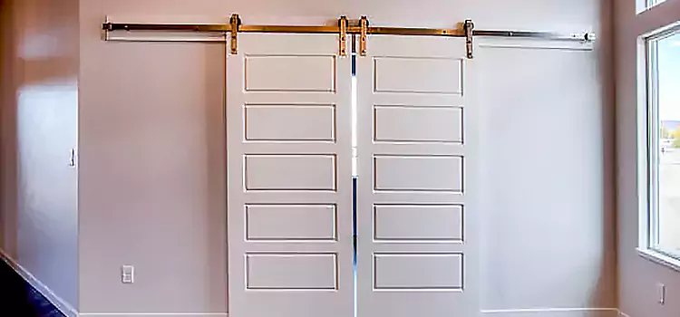 Glass Barn Door with Installation Hardware Kit Amsterdam