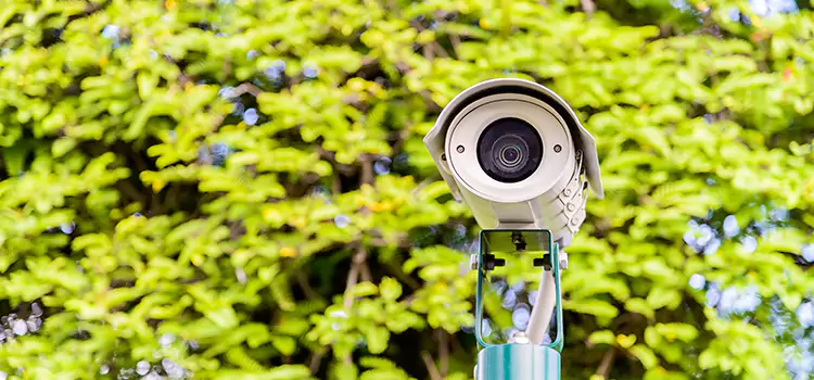 Advanced Surveillance Solutions for Every Need in Amsterdam